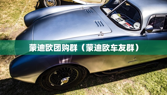 蒙迪欧团购群（蒙迪欧车友群）