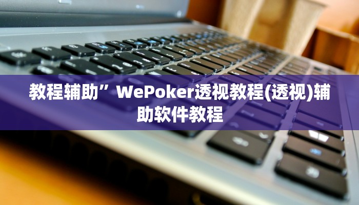 教程辅助”WePoker透视教程(透视)辅助软件教程