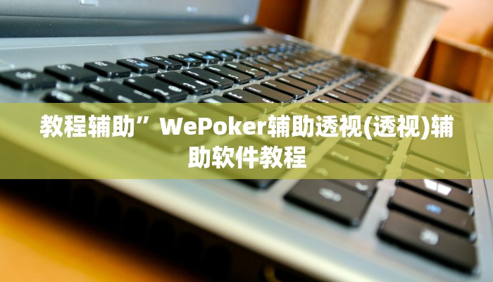 教程辅助”WePoker辅助透视(透视)辅助软件教程