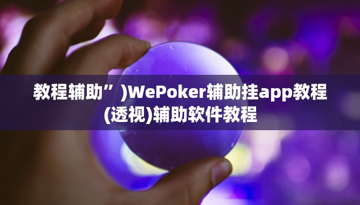 教程辅助”)WePoker辅助挂app教程(透视)辅助软件教程