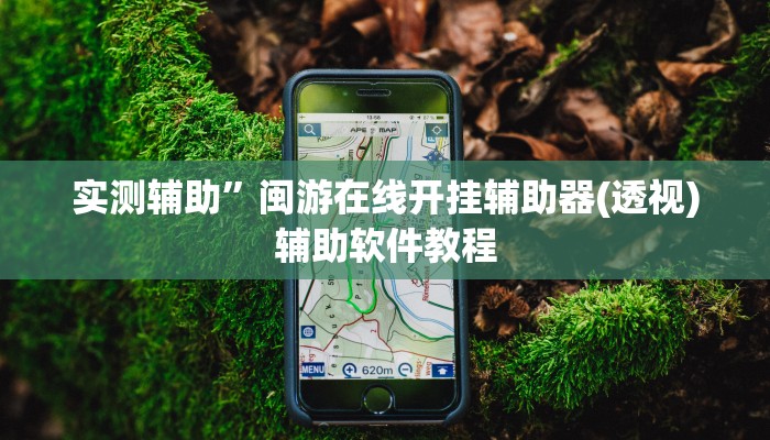 实测辅助”闽游在线开挂辅助器(透视)辅助软件教程