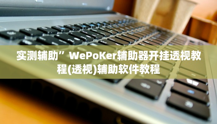 实测辅助”WePoKer辅助器开挂透视教程(透视)辅助软件教程