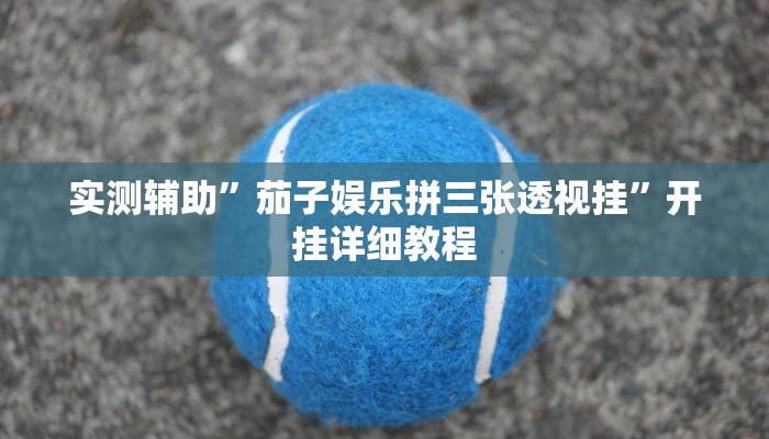 实测辅助”茄子娱乐拼三张透视挂”开挂详细教程