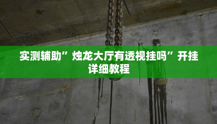 实测辅助”烛龙大厅有透视挂吗”开挂详细教程