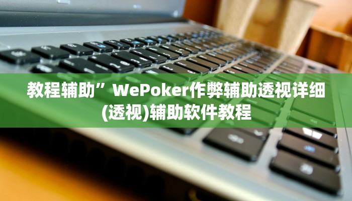 教程辅助”WePoker作弊辅助透视详细(透视)辅助软件教程