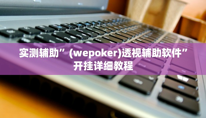 实测辅助”(wepoker)透视辅助软件”开挂详细教程