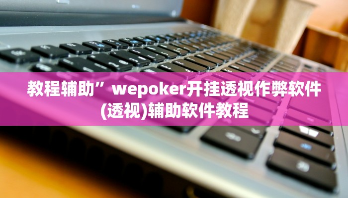 教程辅助”wepoker开挂透视作弊软件(透视)辅助软件教程