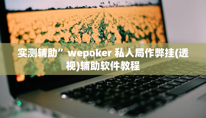 实测辅助”wepoker 私人局作弊挂(透视)辅助软件教程
