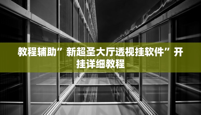 教程辅助”新超圣大厅透视挂软件”开挂详细教程