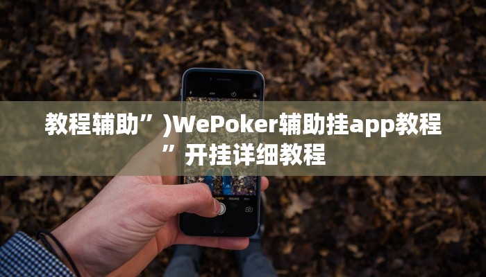 教程辅助”)WePoker辅助挂app教程”开挂详细教程