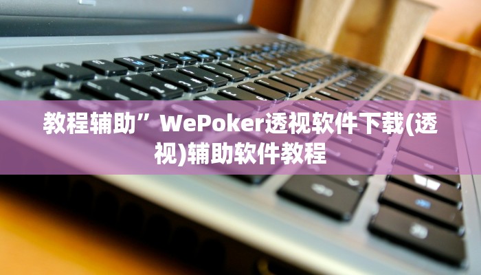 教程辅助”WePoker透视软件下载(透视)辅助软件教程