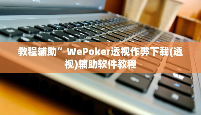 教程辅助”WePoker透视作弊下载(透视)辅助软件教程