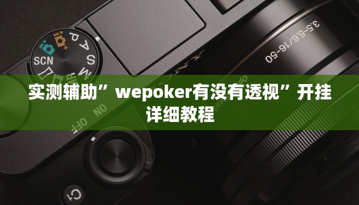 实测辅助”wepoker有没有透视”开挂详细教程