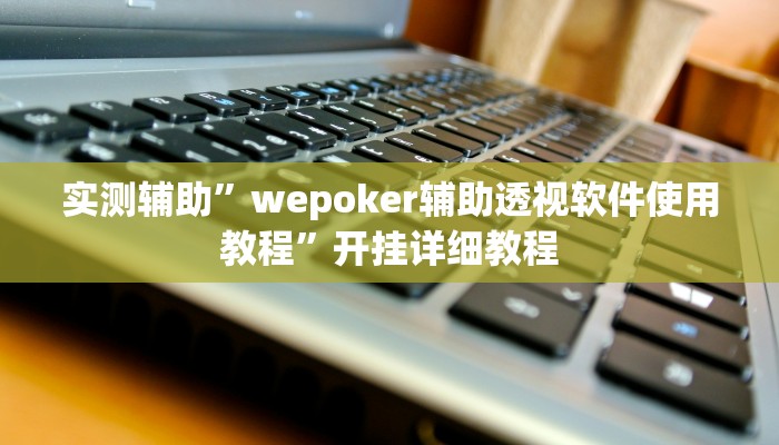 实测辅助”wepoker辅助透视软件使用教程”开挂详细教程
